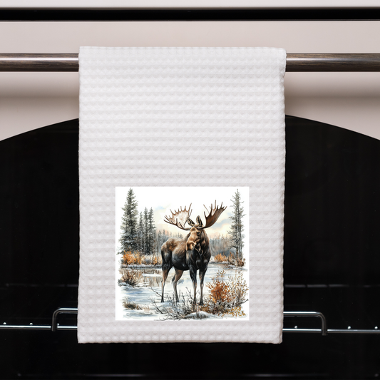 Moose in water