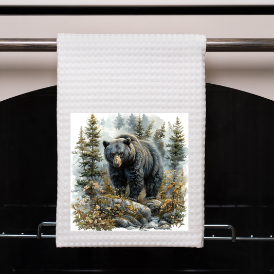 Bear on rocks
